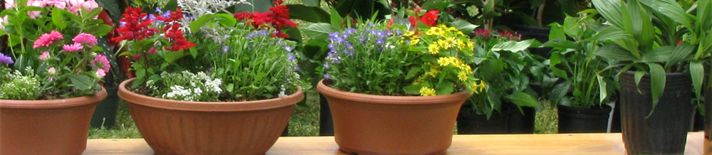 Annual Garden Fair hosted by Kauai County Farm Bureau